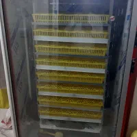 دستگاه جوجه کشی