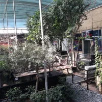 نیروی خدماتی خانم جهت کافه