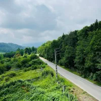 زمین-مسکونی400متری-شهرک-برند-پلاک-صفر-جنگل-سنددار