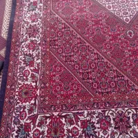فرش دستبافت|فرش|زنجان, |دیوار