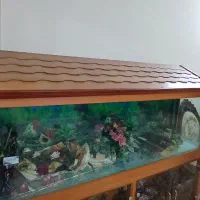 آکواریوم لاکچری ۲ متری  شیشه ۱ سانت