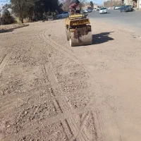 غلطک سی جی ۱۱ دانا پاک