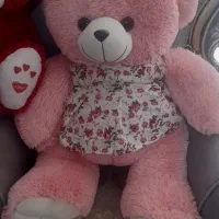 عروسک خرسی شاسخین