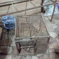 قفس آهنی|لوازم جانبی حیوانات|قم, سید معصوم|دیوار