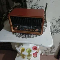 اسپیکر فلش خور رادیو دار