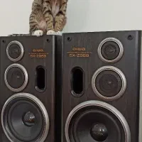 باند 100 وات آیوا aiwa ژاپن