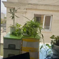 ۱۰۰متر موقعیت مناسب تمام مشاغل کاشانک|اجارهٔ دفتر کار، اتاق اداری، مطب|تهران, کاشانک|دیوار