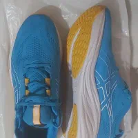 کفش آسکس ۴۳