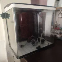 آکواریوم نو