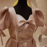 لباس مجلسی|لباس|مزرعه کتول, |دیوار