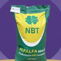 بذریونجه|گل و گیاه طبیعی|مریوان, |دیوار