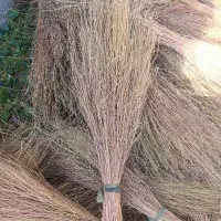 جارو چغندری دسته ای|خدمات باغبانی و درختکاری|لردگان, |دیوار