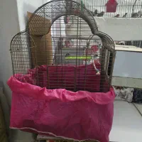 قفس پرنده درحدبزرگ و کوچک