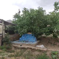 یک واحد دامداری جهت اجاره|اجارهٔ دفتر صنعتی، کشاورزی، تجاری|اشتهارد, |دیوار