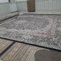 فرش|فرش|کنگاور, |دیوار