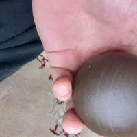 موبایل a03core|موبایل|دماوند, دماوند|دیوار