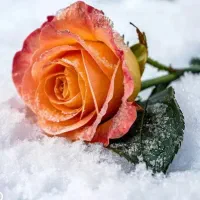 گوشی رومیزی پاناسونیک