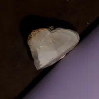 سنگ عجیب الماس داره وسطش