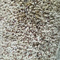 موکت تافتینگ(نقد و اقساطی)|موکت|تبریز, |دیوار