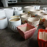 گلدان های سفالی سالم|گل و گیاه طبیعی|لاهیجان, کوی خزر|دیوار