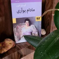 رمان مادام بوآری اثر گستاو فلوبر