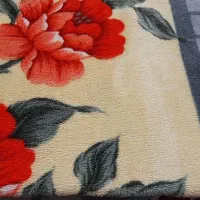 پتوییکنفره