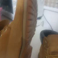 تیم برلند|کیف، کفش، کمربند|مشهد, ثامن|دیوار