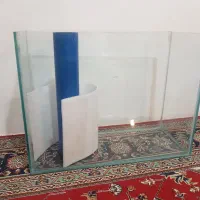 آکواریوم سالم