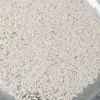 برنج  هاشمی امساله در جه یک