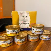 پت شاپ انلاین