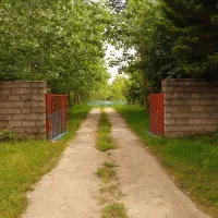 زمین ویلا  ویو ابدی