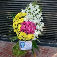 ماشین عروس تاج ترحیم باکس گل زیر قیمت|گل و گیاه طبیعی|لنگرود, |دیوار