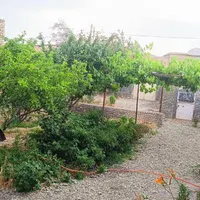 خانه ویلایی با درختان میوه روستای صنوبر|فروش خانه و ویلا|تربت‌حیدریه, بالا ولایت|دیوار