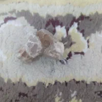 سنگ با ارزش