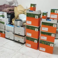 بذر چغندر قند