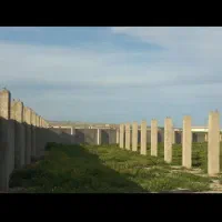 ۸۲۰۰متر زمین مجوز گاوداری بر جاده و سازه نیمه کار|فروش دفتر صنعتی، کشاورزی، تجاری|گنبد کاووس, |دیوار