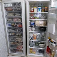 یخچال دوقلو .الکترو استیل|یخچال و فریزر|سنندج, |دیوار