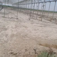 گلخانه/شهرک گلفام|فروش دفتر صنعتی، کشاورزی، تجاری|پاکدشت, پاکدشت (مامازند)|دیوار