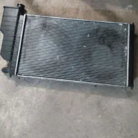 رادیاتور خودرو دنا معمولی|قطعات یدکی و لوازم جانبی|رشت, دباغیان|دیوار