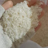برنج اروگوئه