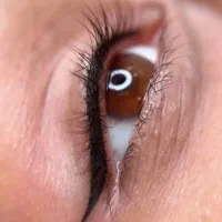 تخفیف یلدایی میکروابرو فقط ۷۵۰|خدمات آرایشگری و زیبایی|الیگودرز, |دیوار