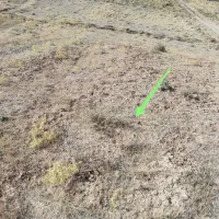 زمین باغشهر