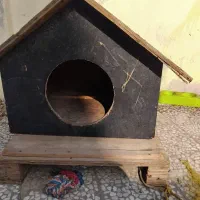 لانه ی سگ|لوازم جانبی حیوانات|قائمشهر, |دیوار