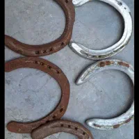 نعل کهنه اسب