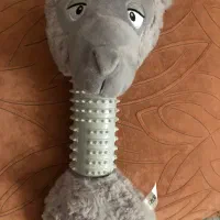 اسباب بازی پت