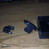 تریگر و دسته بازی|کنسول، بازی ویدئویی و آنلاین|مشهد, عامل|دیوار