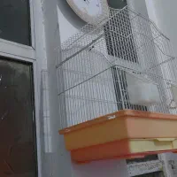 یک عدد قفس قناری با همه وسائل|لوازم جانبی حیوانات|قم, خندق|دیوار