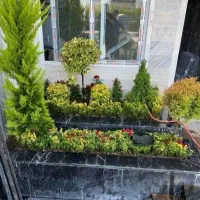 باغ باغچه گل درخت کار میکنم با بیترین کار صف تا صد