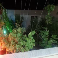 خانه-لوکس-ویلایی