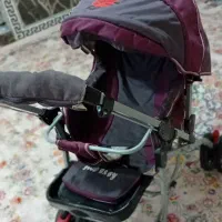 کالسکه دلیجان در حد نو|کالسکه و لوازم جانبی|بروجرد, |دیوار